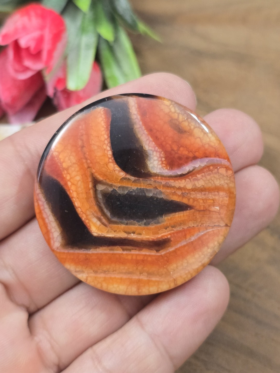 Polierte orange-schwarze Achat-Münze mit krakelierter Drachenhaut-Struktur auf der flachen Hand als Größenvergleich für Kettenanhänger.