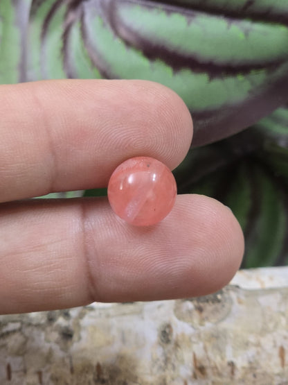 Rote Erdbeerquarz-Perle mit 10 mm Durchmesser auf den Fingern als Größenvergleich