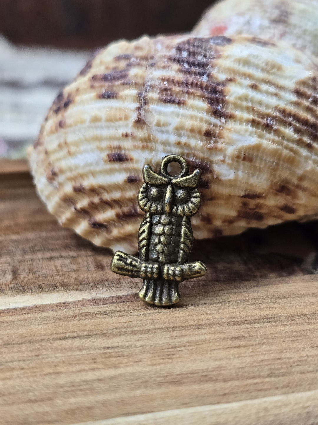 Eulen-Anhänger in Vintage-Bronze aufgestellt vor einer Muschel für DIY-Schmuck.