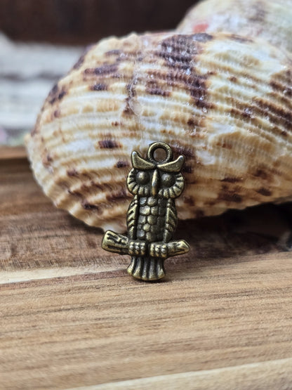Eulen-Anhänger in Vintage-Bronze aufgestellt vor einer Muschel für DIY-Schmuck.