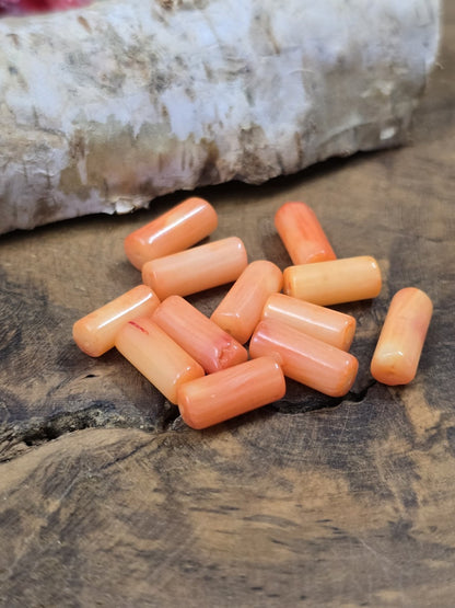 Draufsicht auf eine Gruppe zylindrischer Schaumkorallen-Perlen in natürlichen Lachs- und Orangetönen.