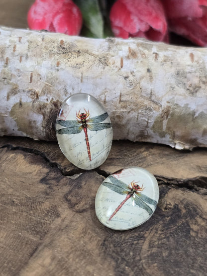Zwei ovale Glascabochons (18x13 mm) mit filigranem Libellen-Motiv und nostalgischer Schrift auf rustikalem Holz vor einem hellen Birkenstamm.