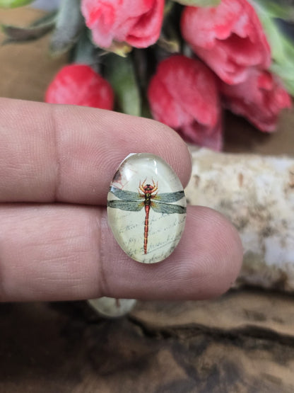 Ein ovaler Libellen-Glascabochon (18x13 mm) im Vintage-Stil auf einer Fingerspitze als praktischer Größenvergleich für DIY-Schmuckprojekte.
