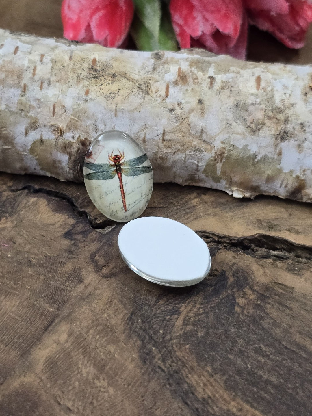 Zwei ovale Glascabochons mit Libellen-Motiv auf Holz, wovon einer mit der flachen, weißen Rückseite nach oben liegt, um die Klebefläche für Fassungen zu zeigen.