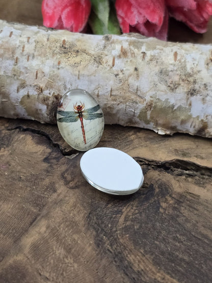 Zwei ovale Glascabochons mit Libellen-Motiv auf Holz, wovon einer mit der flachen, weißen Rückseite nach oben liegt, um die Klebefläche für Fassungen zu zeigen.