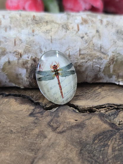 Nahaufnahme eines einzelnen 18x13 mm großen ovalen Glascabochons mit detailreicher Libelle als Schmuckzubehör zum Basteln von Medaillons, Ringen oder Ketten.