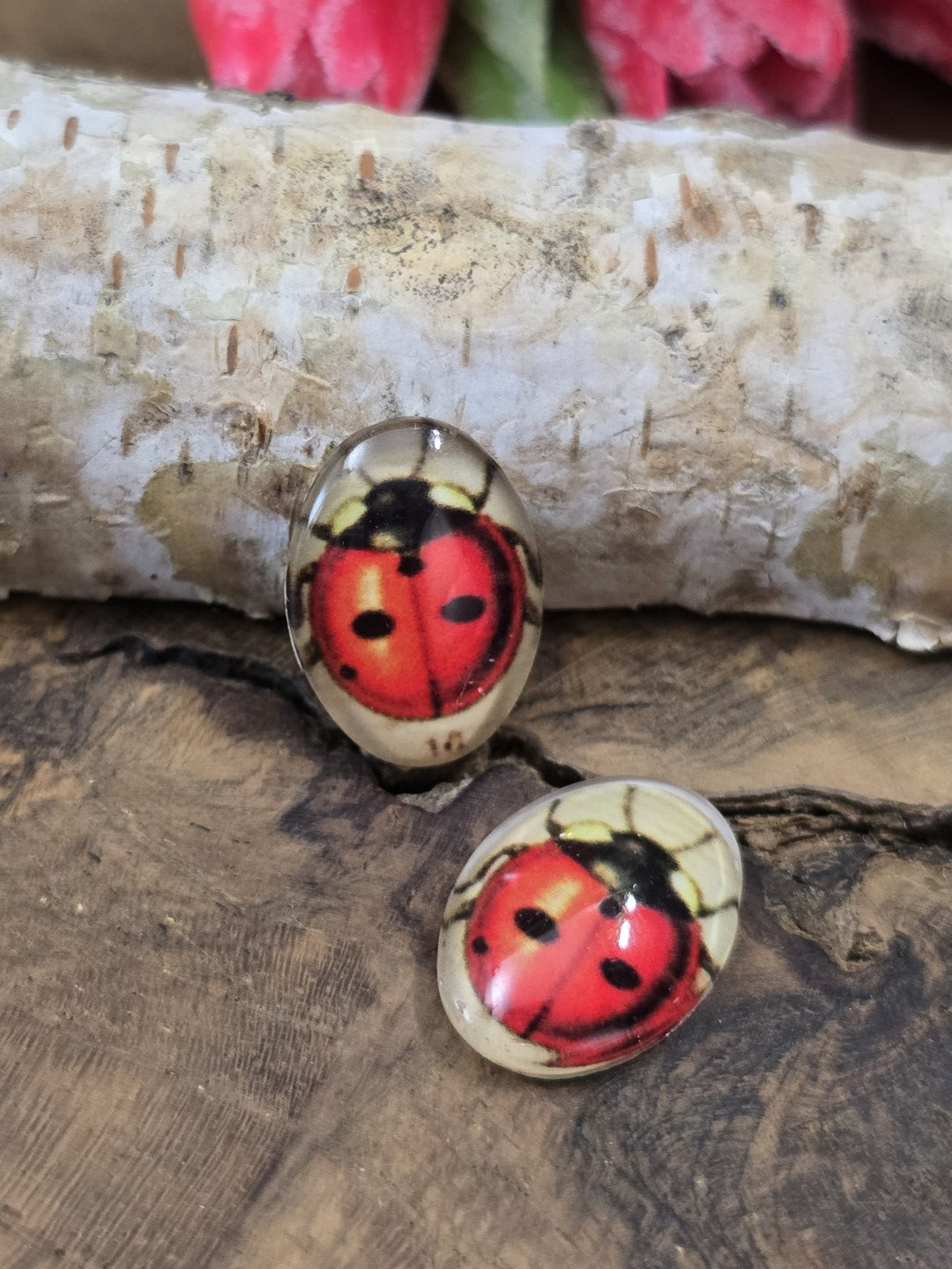 Zwei ovale Glascabochons (18x13 mm) mit rotem Marienkäfer-Motiv dekorativ platziert auf rustikalem Holz vor einem hellen Birkenstamm.