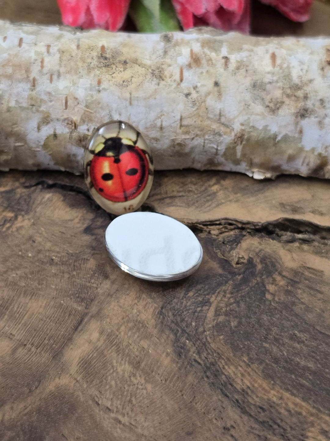 Zwei ovale Glascabochons mit Marienkäfer auf Holz, wobei einer mit der flachen, weißen Rückseite nach oben liegt, um die ebene Klebefläche zu zeigen.