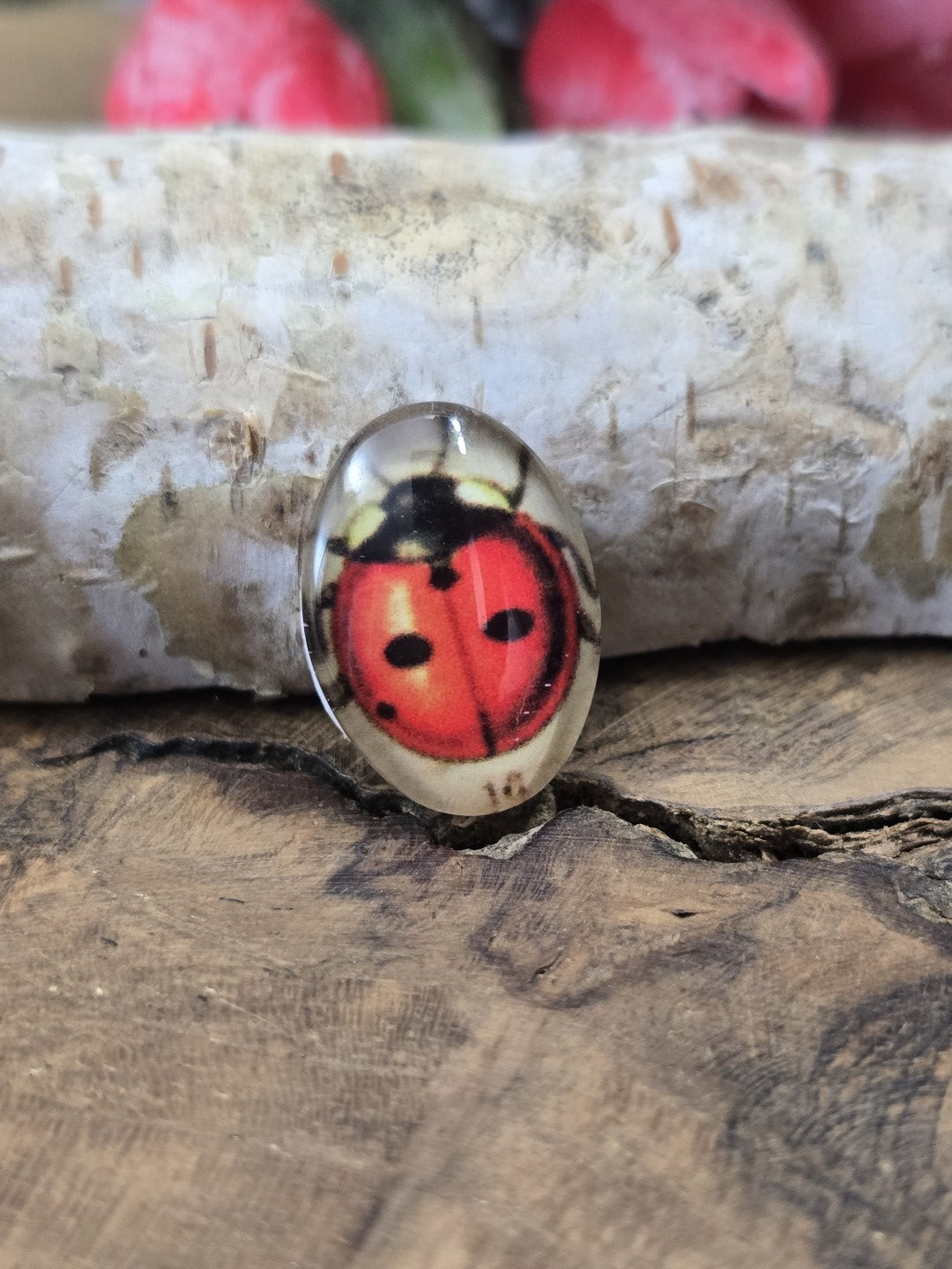 Nahaufnahme eines einzelnen 18x13 mm großen ovalen Glascabochons mit rotem Marienkäfer als Glücksbringer-Motiv und Schmuckzubehör zum Basteln von Ketten, Ohrringen oder Ringen.