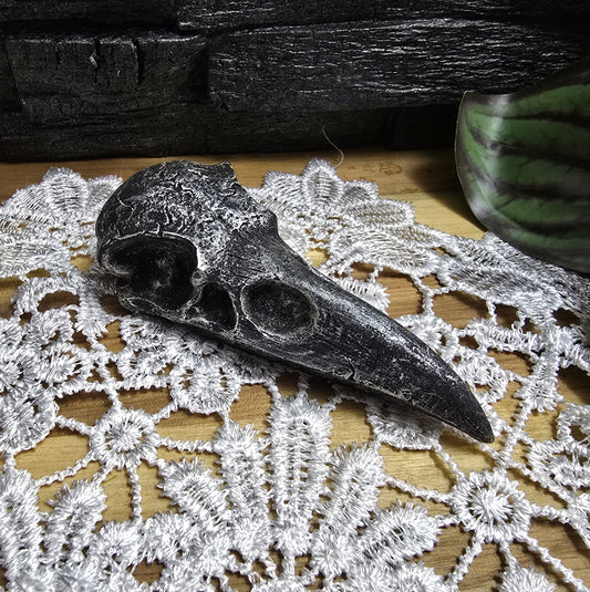 Das Bild zeigt einen Krähenschädel Dekofigur schwarz/silber, 10 cm, aus Kunststein, Hexenaltar, Altarschmuck, gotisches Wohndekor, Rabenschädel

Dieser mystische Krähenschädel aus Kunststein ist ein faszinierendes Schmuckstück für jedes gotische Wohndekor und ein kraftvolles Element für Ihren Hexenaltar. 