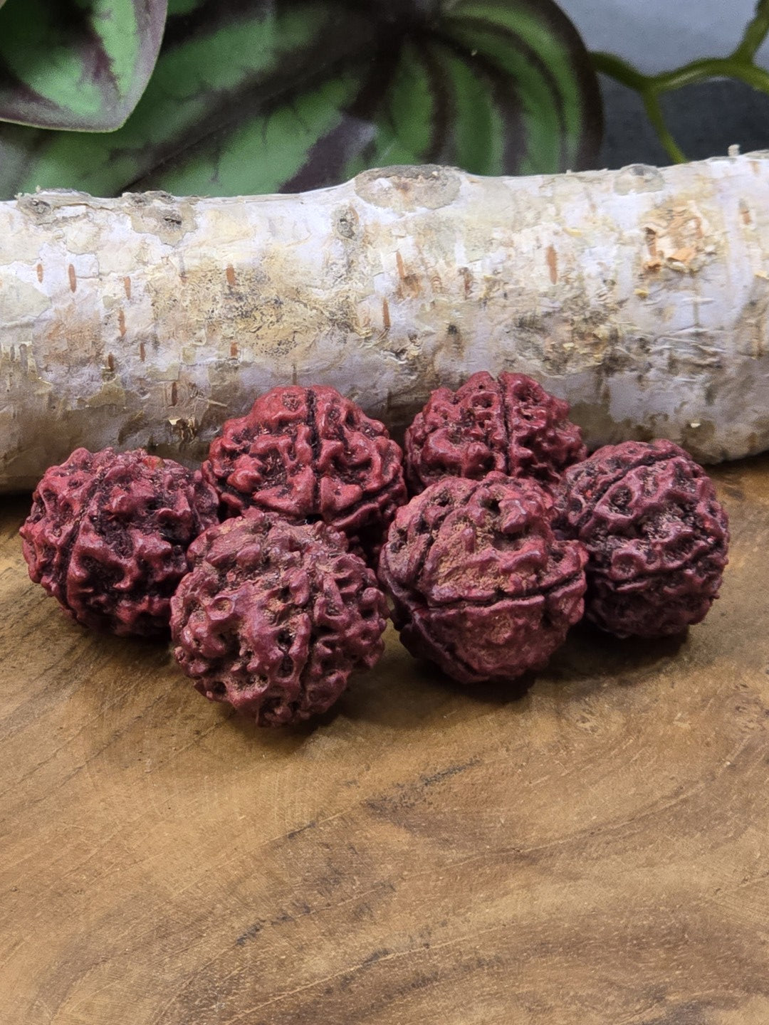 Sechs rote Rudraksha-Perlen mit strukturierter Oberfläche für Mala-Schmuck und DIY-Projekte