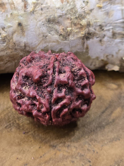Nahaufnahme einer strukturierten roten Naturperle für spirituellen Schmuck und DIY-Bastelarbeiten