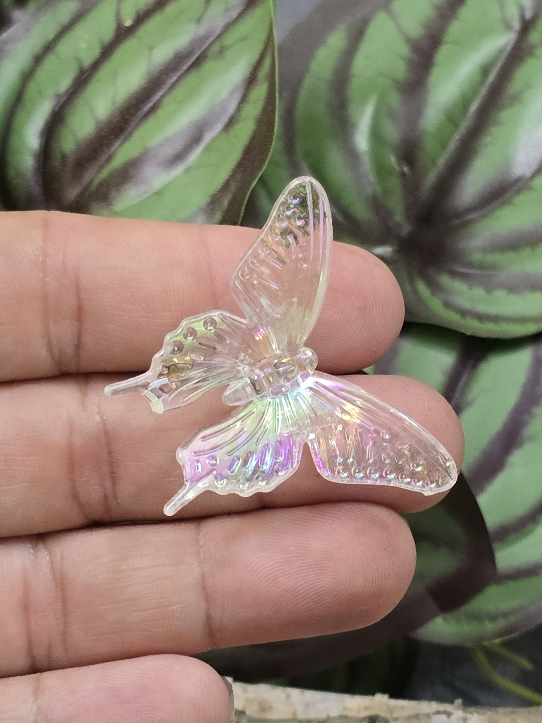Farbloser Acryl-Schmetterling mit Regenbogenglanz auf den Fingern als Größenvergleich