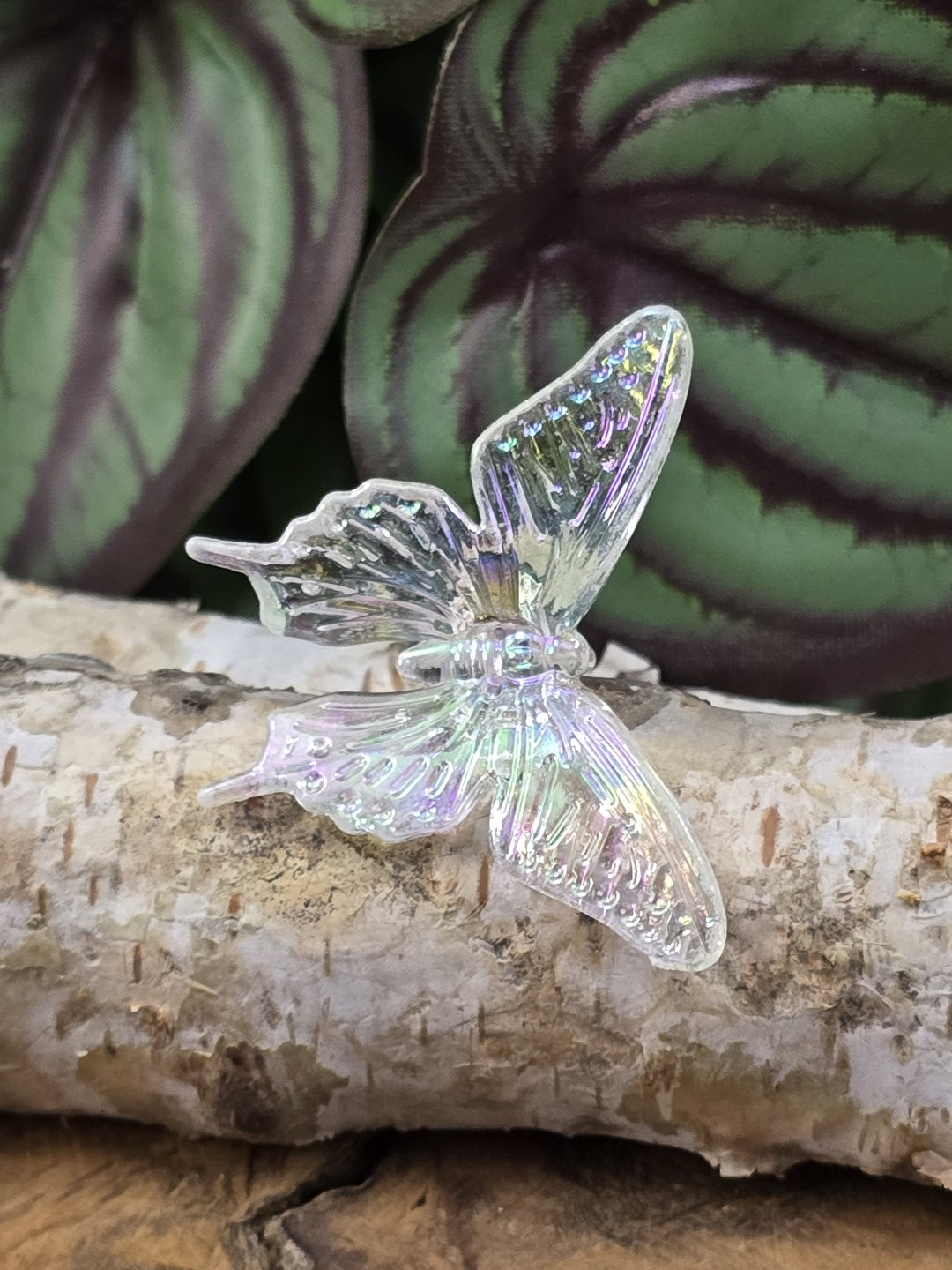 Irisierender Acryl-Schmetterling in seitlicher Ansicht mit geprägten Flügeladern