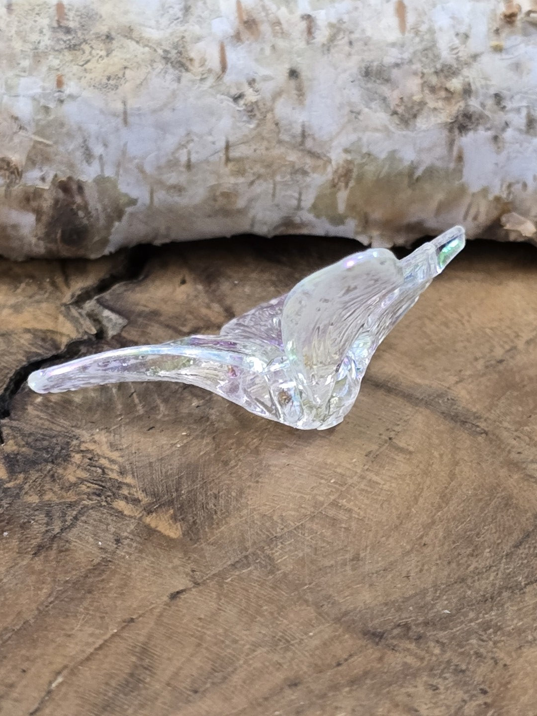 Rückansicht der farblosen Acryl-Schmetterlingsperle mit plastisch geformten Flügeln