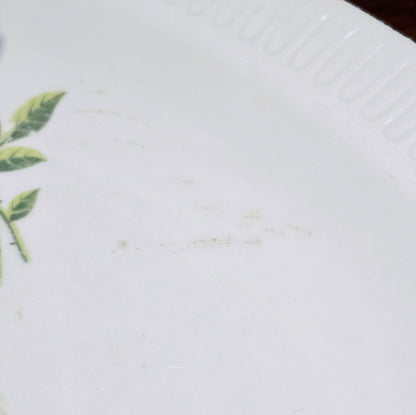 Servierplatte mit Rosenmotiv von Stadtlengsfeld Porzellan (DDR, 60er/70er). Ideal für Fleisch, Plätzchen oder als Deko. Zwei Zustände verfügbar – jetzt entdecken!